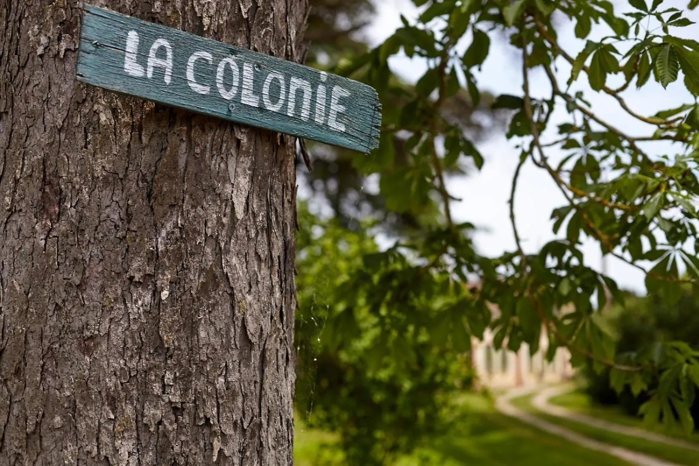 Holiday home La Colonie St Joseph - Gites De Charme Pour 9 Labastide-Saves