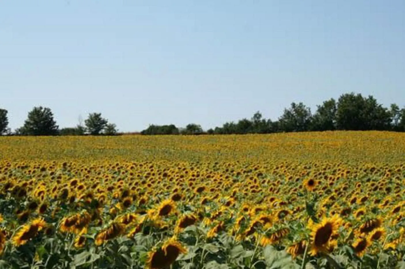 La Colonie St Joseph - Gites De Charme Pour 9 Labastide-Saves